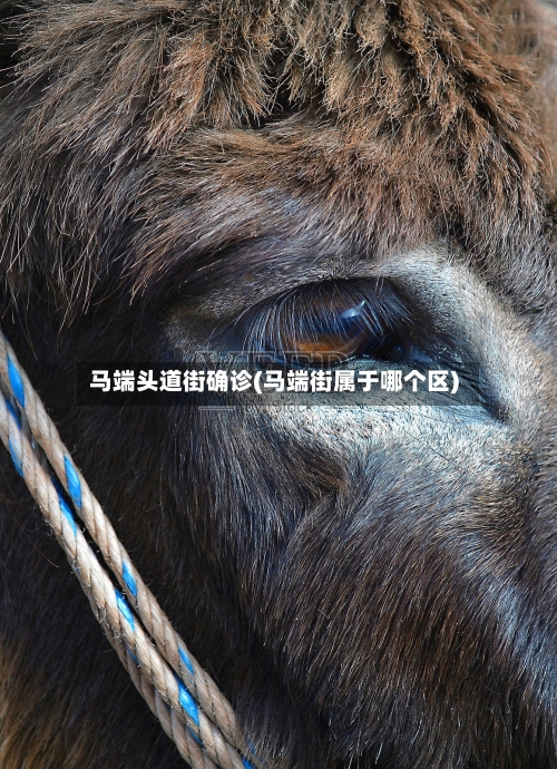 马端头道街确诊(马端街属于哪个区)