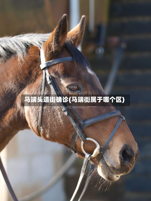 马端头道街确诊(马端街属于哪个区)-第2张图片