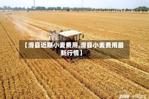 【滑县近期小麦费用,滑县小麦费用最新行情】