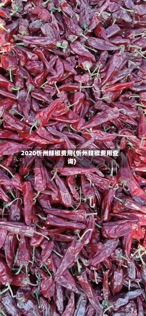 2020忻州辣椒费用(忻州辣椒费用查询)-第2张图片