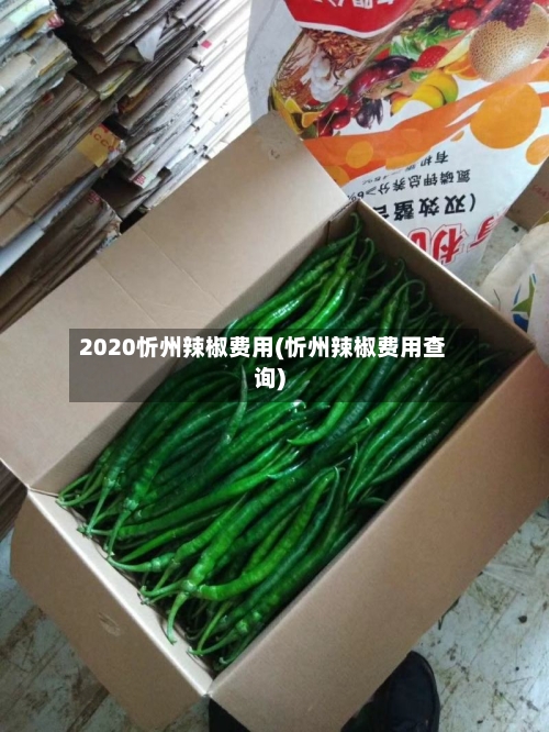 2020忻州辣椒费用(忻州辣椒费用查询)-第3张图片
