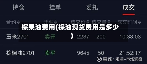 棕果油费用(棕油现货费用是多少)