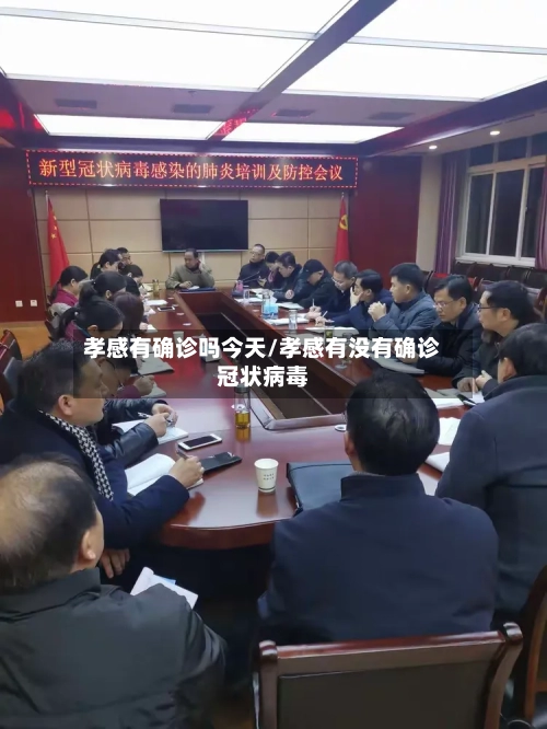 孝感有确诊吗今天/孝感有没有确诊冠状病毒-第2张图片