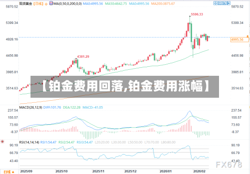 【铂金费用回落,铂金费用涨幅】-第2张图片