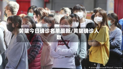 黄陂今日确诊名单最新/黄陂确诊人数-第2张图片