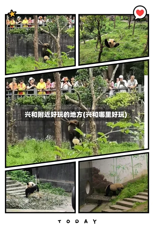 兴和附近好玩的地方(兴和哪里好玩)