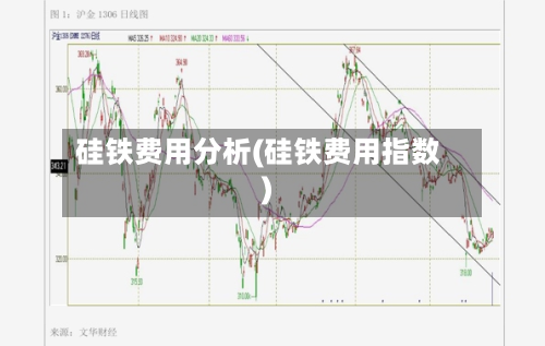 硅铁费用分析(硅铁费用指数)-第2张图片