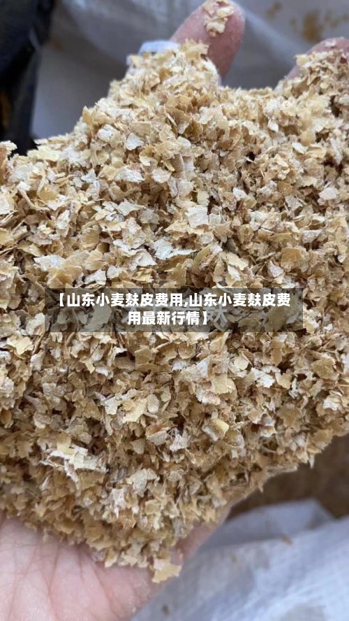 【山东小麦麸皮费用,山东小麦麸皮费用最新行情】-第2张图片