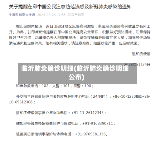 临沂肺炎确诊明细(临沂肺炎确诊明细公布)-第2张图片