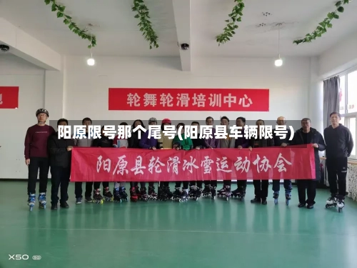 阳原限号那个尾号(阳原县车辆限号)-第3张图片