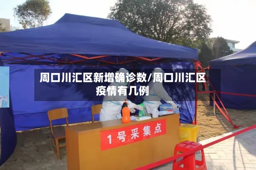周口川汇区新增确诊数/周口川汇区疫情有几例-第3张图片