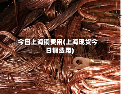 今日上海铜费用(上海现货今日铜费用)