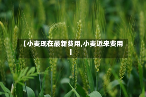 【小麦现在最新费用,小麦近来费用】
