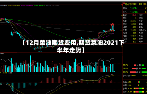 【12月菜油期货费用,期货菜油2021下半年走势】