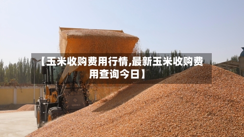 【玉米收购费用行情,最新玉米收购费用查询今日】