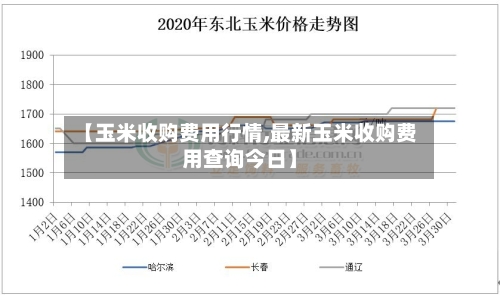 【玉米收购费用行情,最新玉米收购费用查询今日】-第2张图片