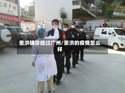景洪确诊经过广州/景洪的疫情怎么样-第2张图片