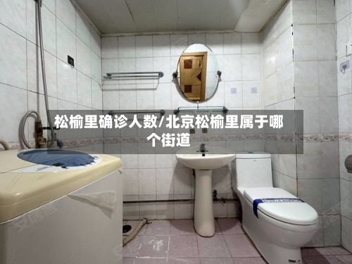 松榆里确诊人数/北京松榆里属于哪个街道-第3张图片