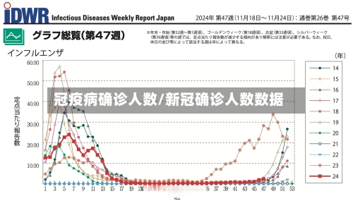 冠疫病确诊人数/新冠确诊人数数据-第2张图片