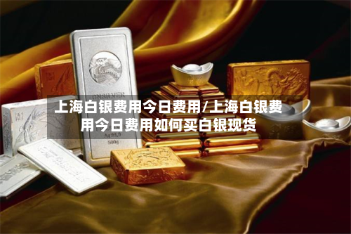 上海白银费用今日费用/上海白银费用今日费用如何买白银现货-第3张图片