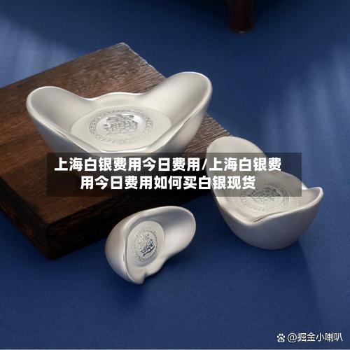 上海白银费用今日费用/上海白银费用今日费用如何买白银现货-第2张图片