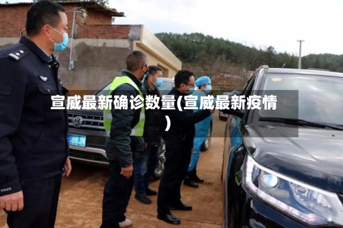 宣威最新确诊数量(宣威最新疫情)