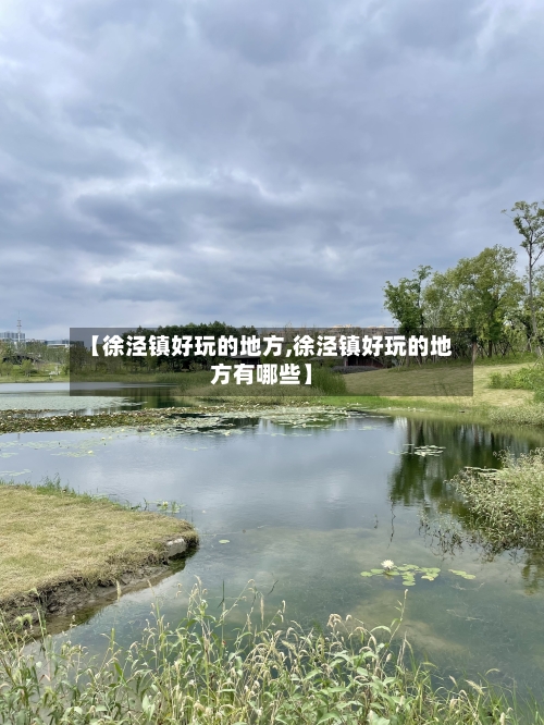 【徐泾镇好玩的地方,徐泾镇好玩的地方有哪些】