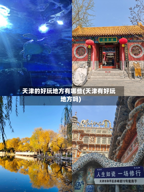 天津的好玩地方有哪些(天津有好玩地方吗)-第3张图片