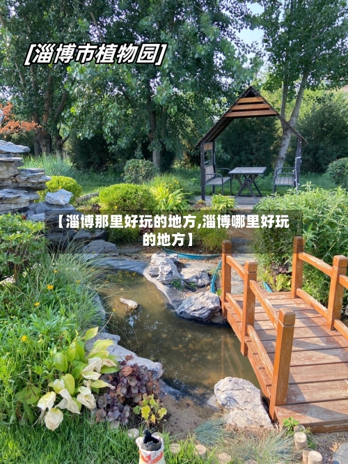 【淄博那里好玩的地方,淄博哪里好玩的地方】-第2张图片