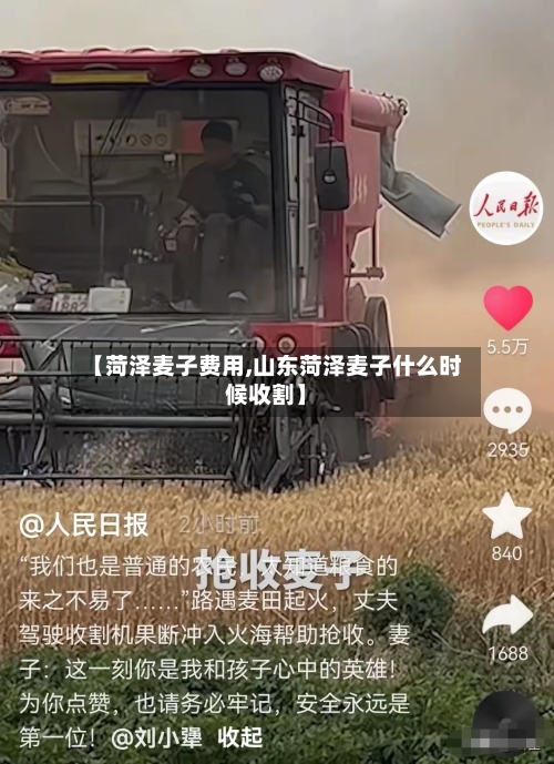 【菏泽麦子费用,山东菏泽麦子什么时候收割】-第2张图片