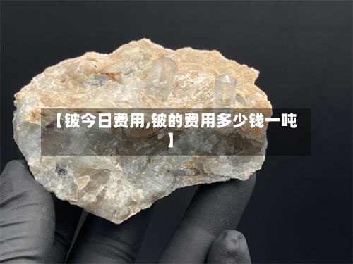 【铍今日费用,铍的费用多少钱一吨】