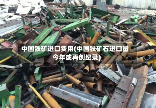 中国铁矿进口费用(中国铁矿石进口量今年或再创纪录)