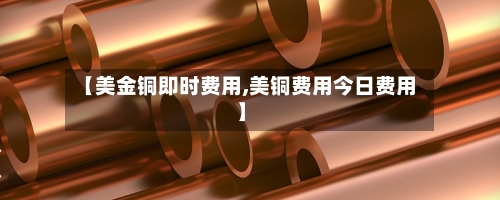 【美金铜即时费用,美铜费用今日费用】-第3张图片
