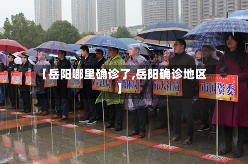 【岳阳哪里确诊了,岳阳确诊地区】-第3张图片