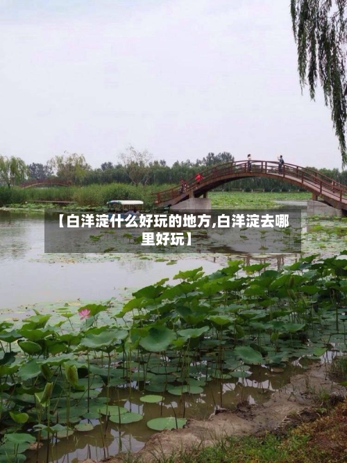 【白洋淀什么好玩的地方,白洋淀去哪里好玩】