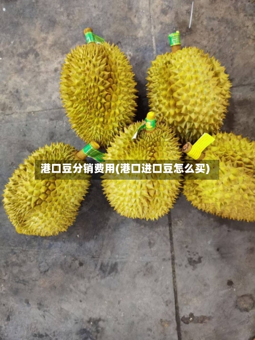 港口豆分销费用(港口进口豆怎么买)