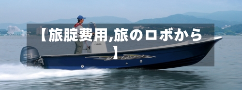 【旅腚费用,旅のロボから】