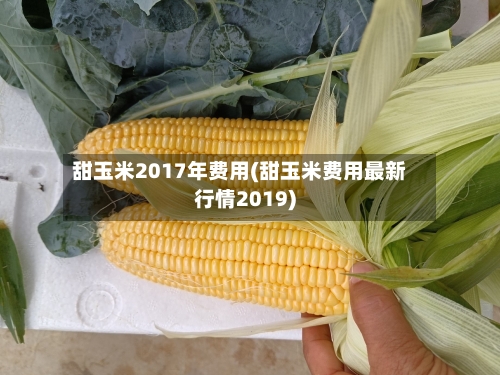 甜玉米2017年费用(甜玉米费用最新行情2019)