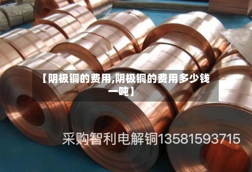 【阴极铜的费用,阴极铜的费用多少钱一吨】-第3张图片