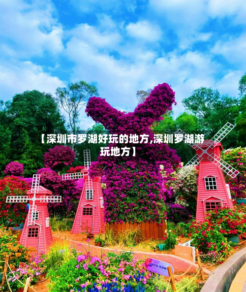 【深圳市罗湖好玩的地方,深圳罗湖游玩地方】