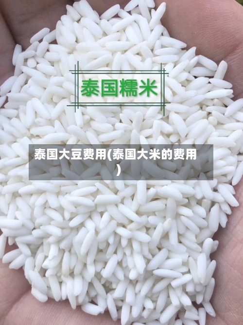 泰国大豆费用(泰国大米的费用)-第3张图片