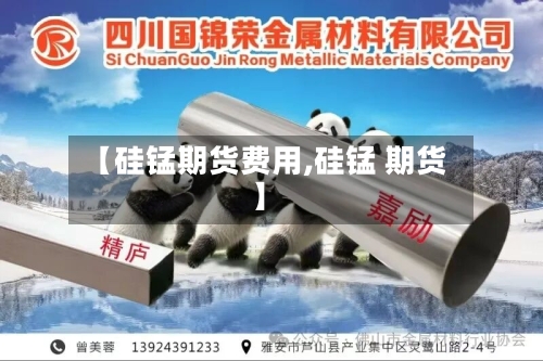 【硅锰期货费用,硅锰 期货】