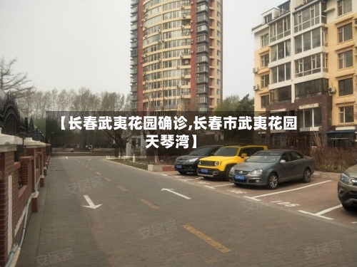 【长春武夷花园确诊,长春市武夷花园天琴湾】