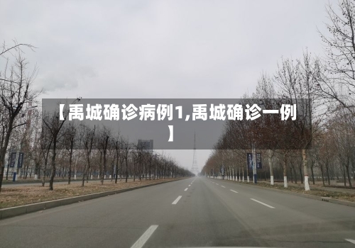 【禹城确诊病例1,禹城确诊一例】