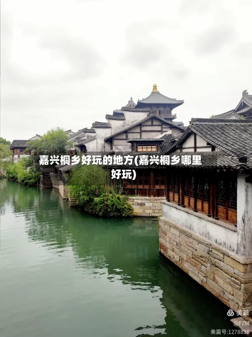 嘉兴桐乡好玩的地方(嘉兴桐乡哪里好玩)