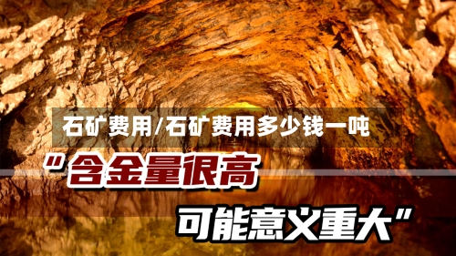 石矿费用/石矿费用多少钱一吨