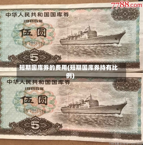 短期国库券的费用(短期国库券持有比例)