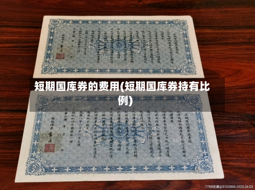 短期国库券的费用(短期国库券持有比例)-第2张图片