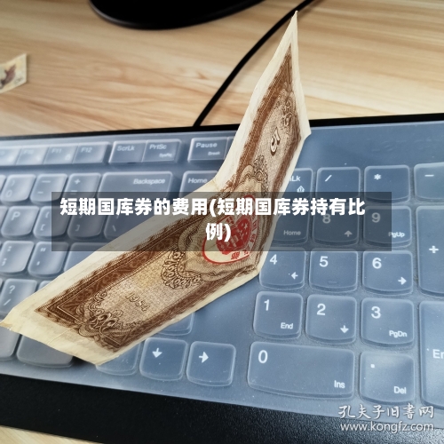 短期国库券的费用(短期国库券持有比例)-第3张图片