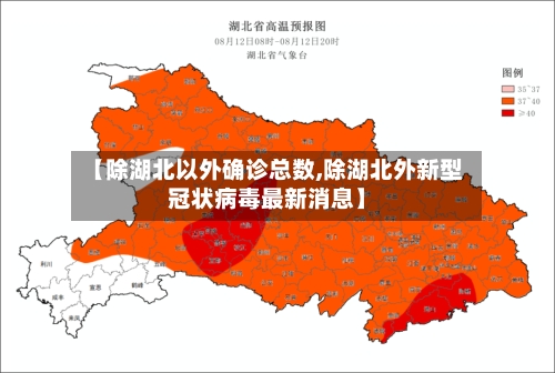 【除湖北以外确诊总数,除湖北外新型冠状病毒最新消息】-第2张图片
